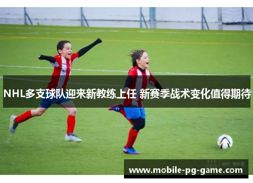 NHL多支球队迎来新教练上任 新赛季战术变化值得期待