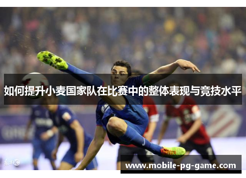 如何提升小麦国家队在比赛中的整体表现与竞技水平