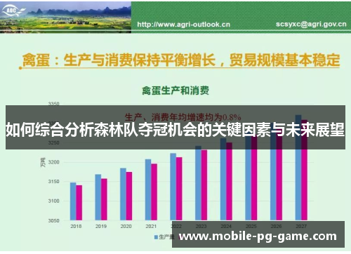 如何综合分析森林队夺冠机会的关键因素与未来展望