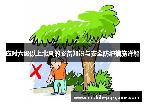 应对六级以上北风的必备知识与安全防护措施详解