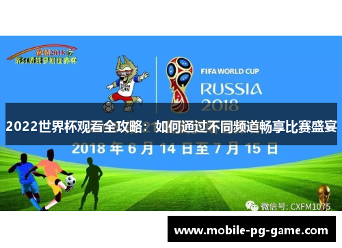 2022世界杯观看全攻略：如何通过不同频道畅享比赛盛宴