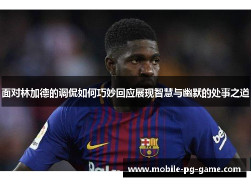 面对林加德的调侃如何巧妙回应展现智慧与幽默的处事之道