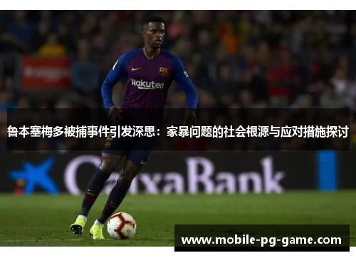鲁本塞梅多被捕事件引发深思：家暴问题的社会根源与应对措施探讨