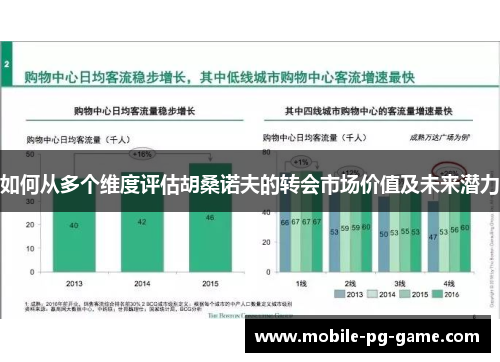 如何从多个维度评估胡桑诺夫的转会市场价值及未来潜力