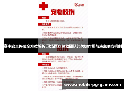 赛事安全保障全方位解析 现场医疗急救团队的关键作用与应急响应机制