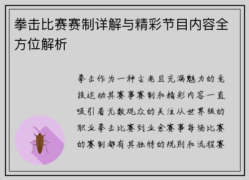 拳击比赛赛制详解与精彩节目内容全方位解析