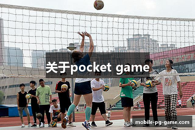 关于pocket game